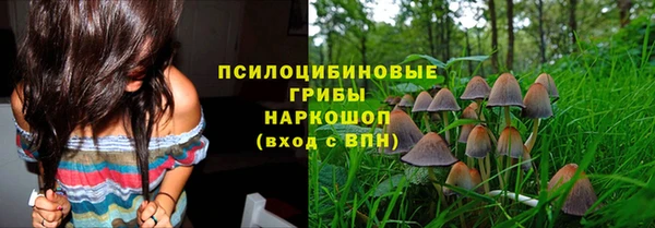 кристаллы Бородино