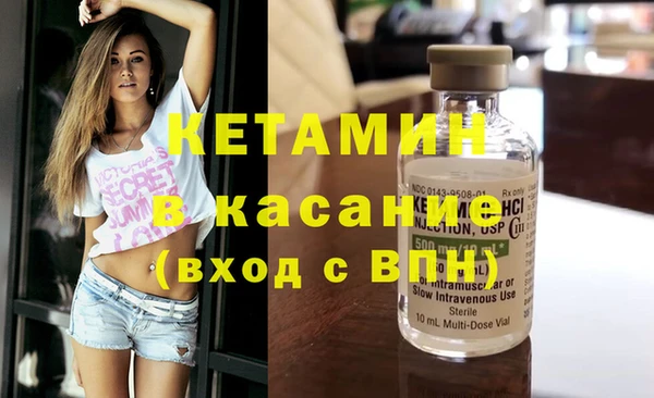 гидра Богородицк